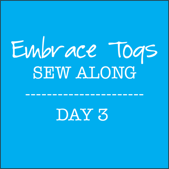 Embrace Sew Along - Day 3