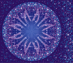 Spandex Circle Panel Lover Midnight Tween - Glitter Stardust