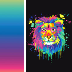 Rashie Kit - Lion Ombre
